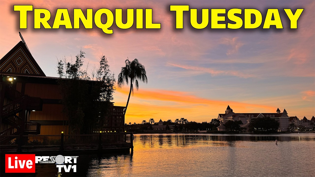 🔴Live: Tranquil Tuesday - Magic Kingdom Resort Hopping - 5-12-26 - Walt Disney World