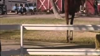 Wildfire Season 5 Promo 4