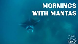 Mornings With Mantas