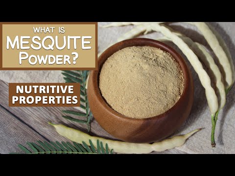 What is Mesquite Powder? Top Nutritive Properties