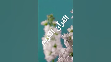 القرآن الكريم Alkoran alkarim . 1.سورة الفاتحة بصوت الشيخ مشاري العفاسي.