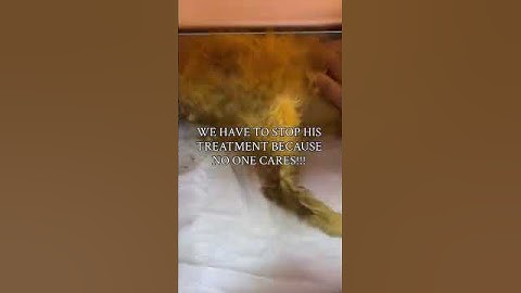 For Any Support Click Our Link In Bio To Help. All Pledges You Make To Support Are Appreciated!🙏