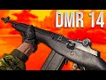 DMR 14 Tactical Rifle (Black Ops Cold War In Depth)