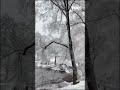 Central Park snow