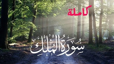 سورة الملك كاملة بصوت القارئ طارق الدهني 😌