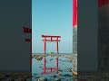 【Japan】これ全部、日本で見れます…！