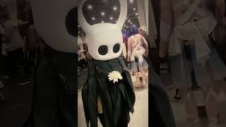 Just Some Of The Incredible Hollow Knight Cosplays From Last Weekend