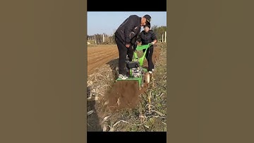 Máy xới đất, băm cỏ 4 chức năng tự hành động cơ dầu 173F 178F #automobile #edms #beach #farming