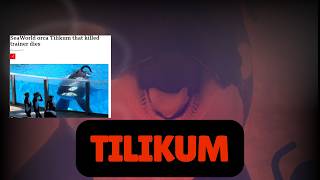 The Tragic Life of Tilikum: SeaWorld's Darkest Secret 🐋