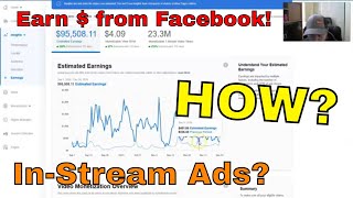 《E-Commerce Case Study》Facebook In Stream Ads, $3,127 The Week Before Christmas Facebook Ad Breaks