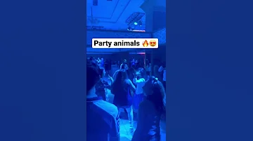 Where S The Party Tonight Where S The Party Tonight Dance Where S The Party Tonight Remix 