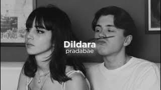 Dildara (slowed reverb)