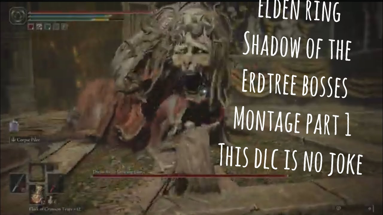 Elden ring shadow of the erdtree bosses montage part 1 this DLC is no ...