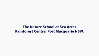 Nature School Pilot School Holiday program