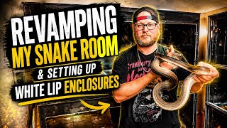Revamping My Snake Room & Setting Up White Lip Enclosures
