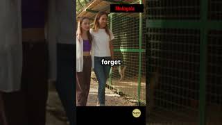 Top Must Visit Places in Johor, Malaysia #johor #malaysia #shorts #travel