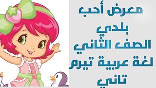 شرح وافي لقصة (معرض أحب بلدي )..لغة عربية كتاب الباهر تيرم تاني