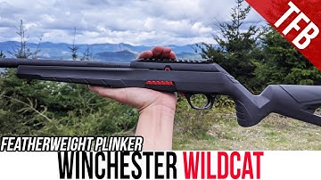 Cover Image for NEW Winchester Wildcat Review: Featherweight Plinker
