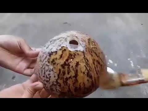  Kerajinan  lampu  belajar dari tempurung kelapa  atau batok  