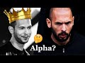 Comprendre le phnomne andrew tate  homme alpha ou roi des simps 