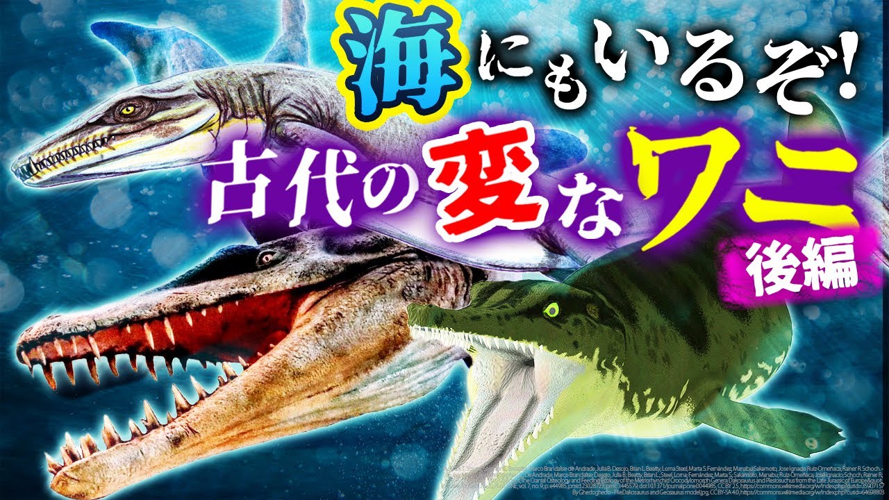 ゆっくり解説】まだまだ沢山います！古代の変わったワニ4選（後編