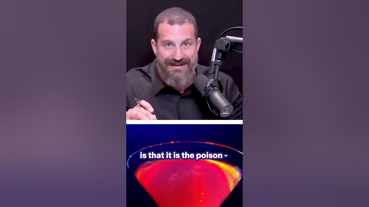 Why Alcohol Makes You Drunk The Science Behind Inebriation. 