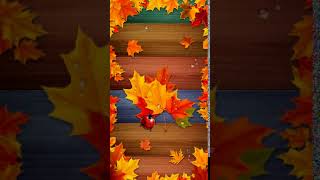 Autumn orange maple leaves Animated