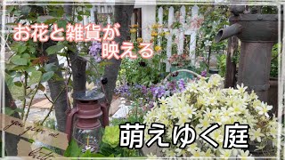 【ガーデニング】お花と雑貨が映える　萌えゆく庭　夕暮れ時のロマンチックなお庭