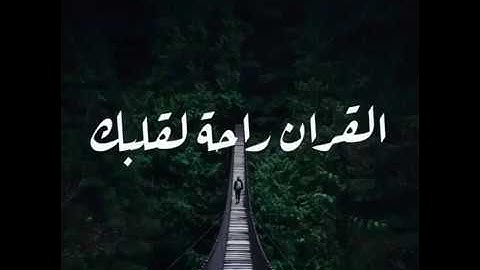 اجمل حالات واتساب || سورة الشعراء بصوت القارئ رعد الكردي