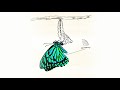 Kehlani - Butterfly (Official Audio)