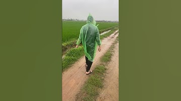 Khảo sát công trình lăng mộ đá tại Huế #datamnguyen #langmodaninhbinh #langmodadep