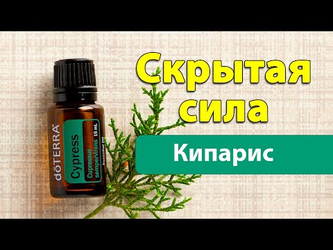 Духовная сила эфирного масла Кипарис [выпуск 21]