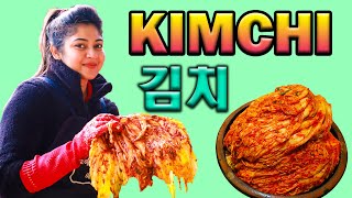 Making korean traditional kimchithe national dish of korea 겨울 맞이 김장 김치 만드는 전 과정 කොරියන්කිම්චි හදමු