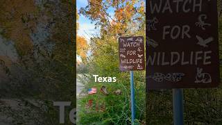🦝 Texas Trailhead Scenery Windhaven #Nature #Hiking #Trails #USA #Texas #Wildlife #watch #birds