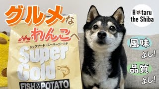 ドッグフードの保存方法を豆柴と紹介！このひと手間でグッと良くなる