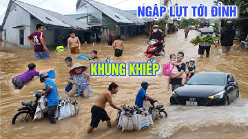 KHỦNG KHIẾP LŨ DÂNG NGẬP LỤT TỚI ĐỈNH - ĐƯỜNG PHỐ, NHÀ CỬA CHÌM TRONG BIỂN NƯỚC Ở VĨNH LONG