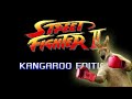 Street fighter kangaroo edition  marca blanca