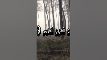تلاوة جميلة ما تيسر من سورة يس 😌#اكسبلور #المصحف