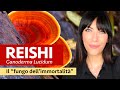 Le proprietà del fungo Reishi, o Ganoderma Lucidum 🍄 il "fungo dell'immortalità"