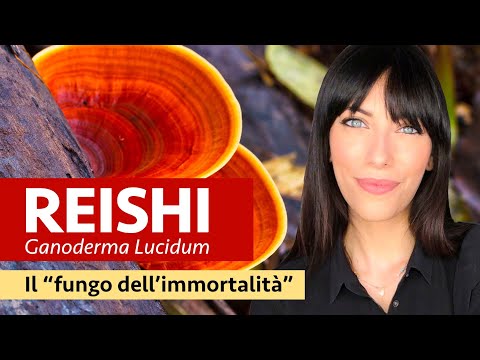 Video: Funghi Lingzhi: proprietà medicinali, applicazione. Feedback da medici e pazienti