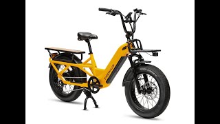 Troxus Lynx Electric Bike Assembly Box Open Cargo e-bike #Troxus #evergreencolorado #electricbike