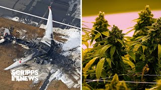 Runway near misses and addictive THC | Scripps News Investigates