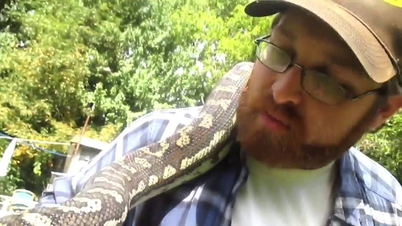 snake oil Snakes Recognize And Remember People ??