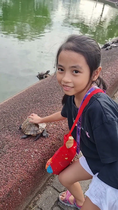 turle #highlights #turles #view #trendingvideo