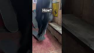 #shorts #fyp #viral #trending #video #clip #moment #wtf #wow #crazy #unexpected #cool #interestin