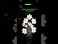 Notcoin Glance : Quest 07 ( Flowers ) Solution. #notcoin #notcoinglancesolution #glanceflowerssolve