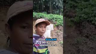 akibat kurang karung airnya lompat sebelah tanah yang di depan mao longsor #fypyoutube #sawitan