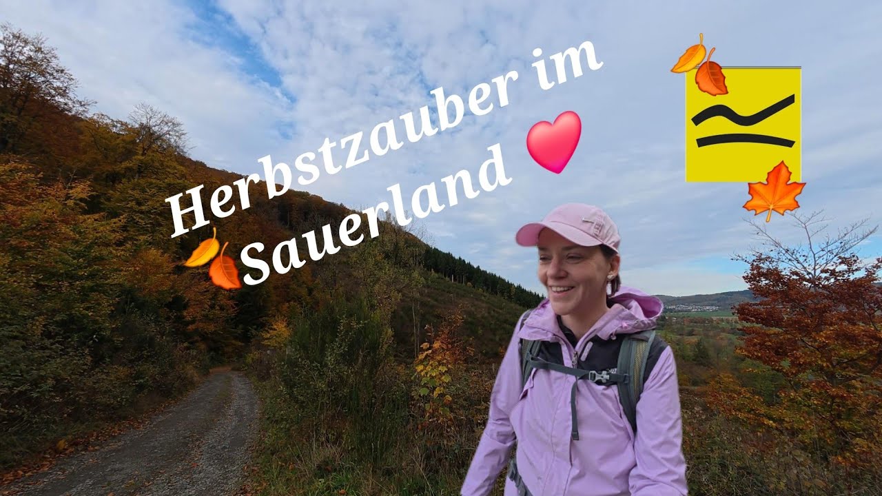 Herbst im Sauerland - Nähe des Rothaarsteigs