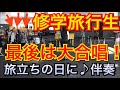 都庁ピアノで旅立ちの日にを弾いたら大合唱になった。