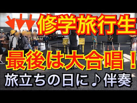 都庁ピアノで旅立ちの日にを弾いたら大合唱になった。